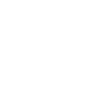 Tampa SEO Service - Icon